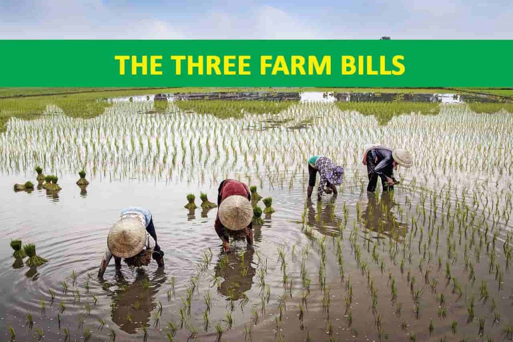 three farm bills